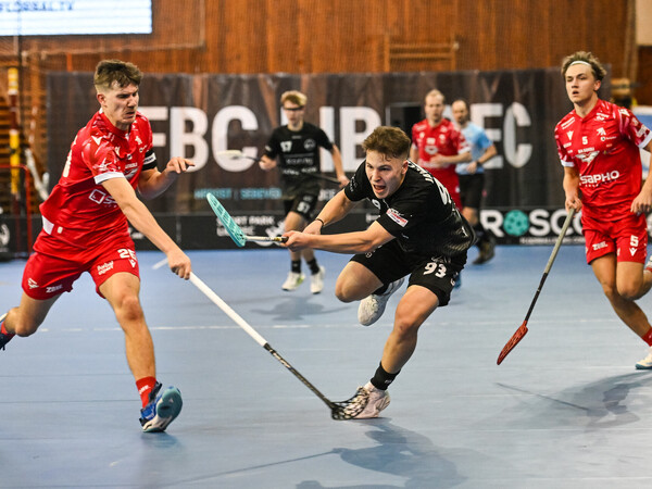 Mantinely INDOOR/ Vnitřní