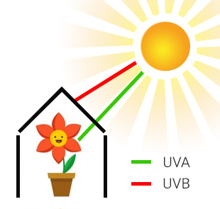 Prostup UV záření do skleníku